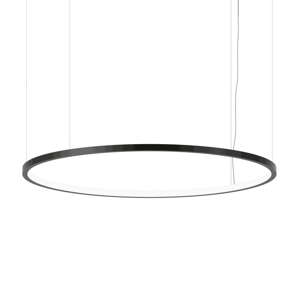 LIGHT-IN 1.5D Shaped Ring Luminaire 100W 4000K Black 80ra FO