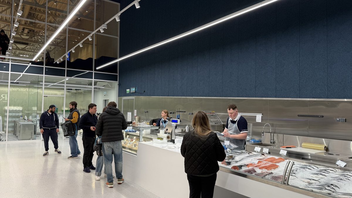 Рибний прилавок Egersund Seafood під світловими лініями LINK-CONT